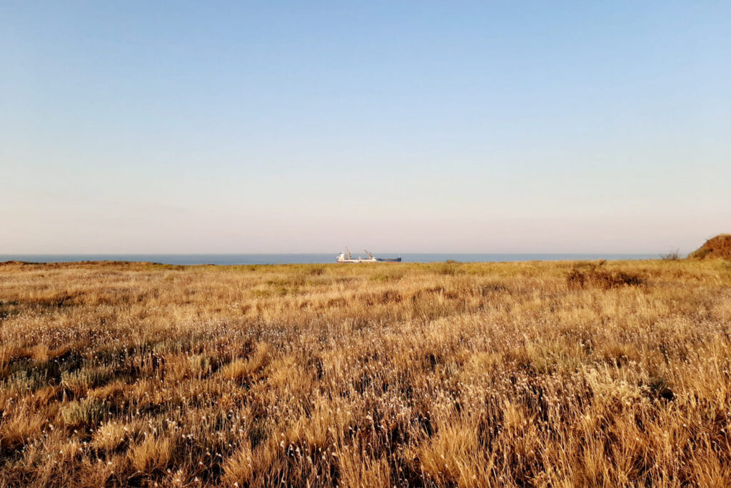 Панорама с мыса Аджияск